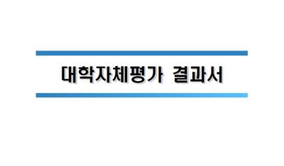 2019년 대학자체평가